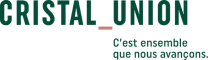 logo cristal