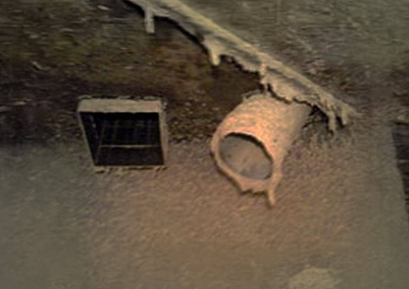 Désinfection - désinsectisation